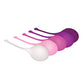 Evolved Tight & Delight 5 pc Weighted Kegel Ball Set - Assorted Colors