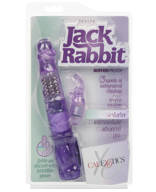 Jack Rabbit Vibrator | Petite G Spot Vibrator | Purple Clit Vibrator | Best Vibrator for Women